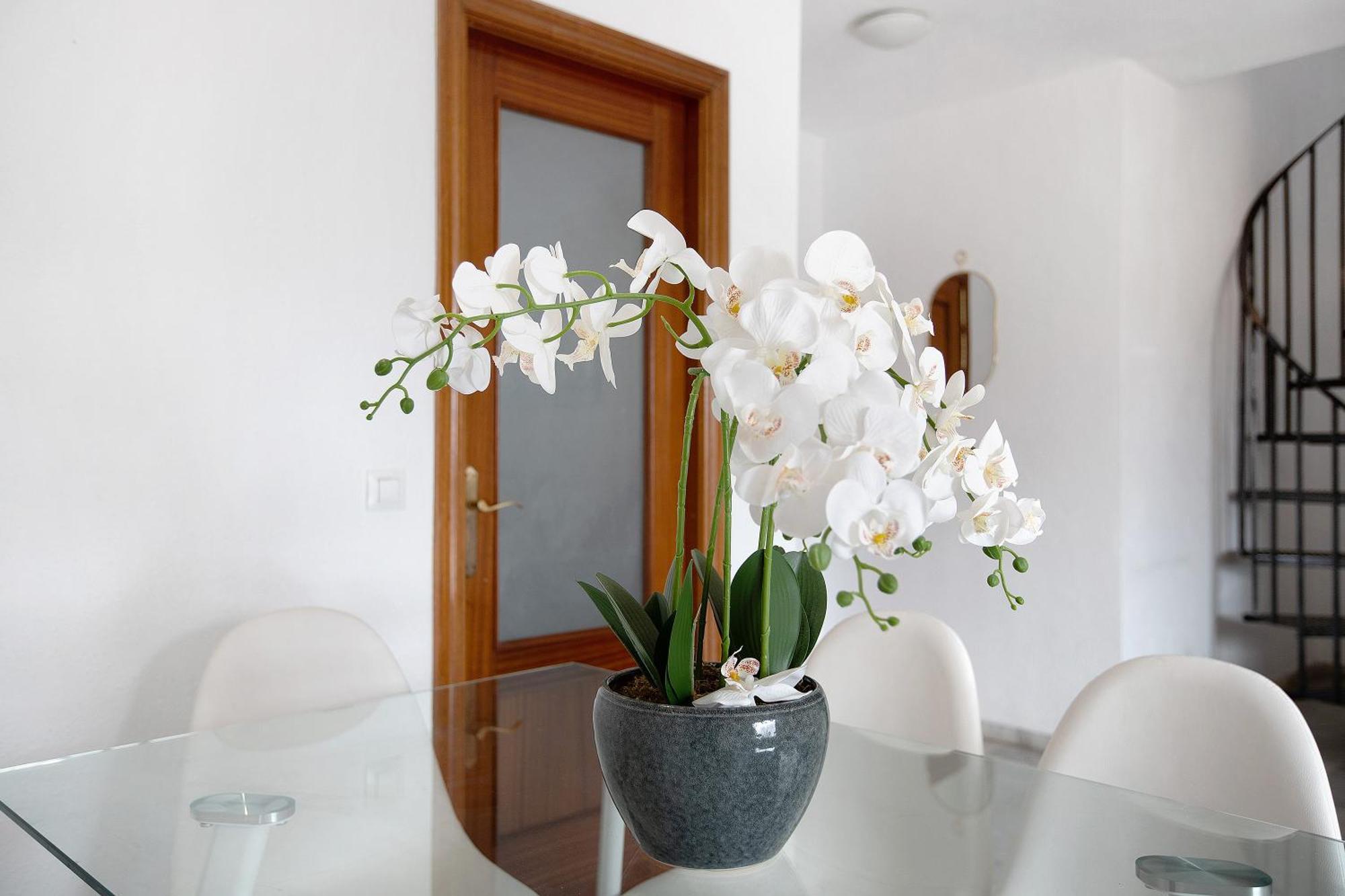 Atico Duplex En Malaga Appartement Buitenkant foto